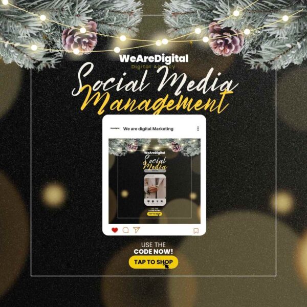 Social Media Management (Package for month)